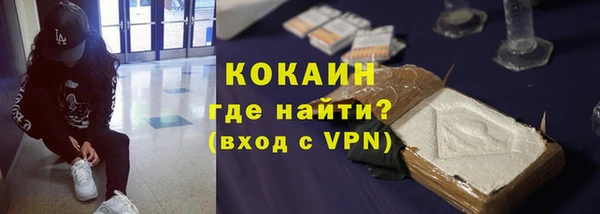 МДПВ Алзамай