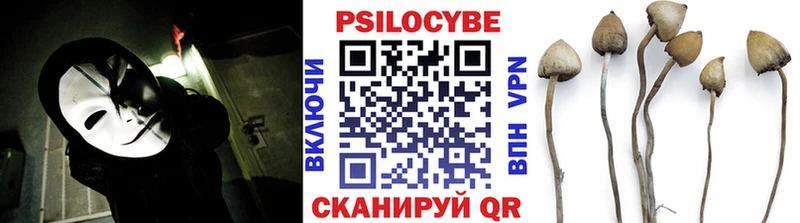площадка наркотические препараты  Покров  Галлюциногенные грибы MAGIC MUSHROOMS 